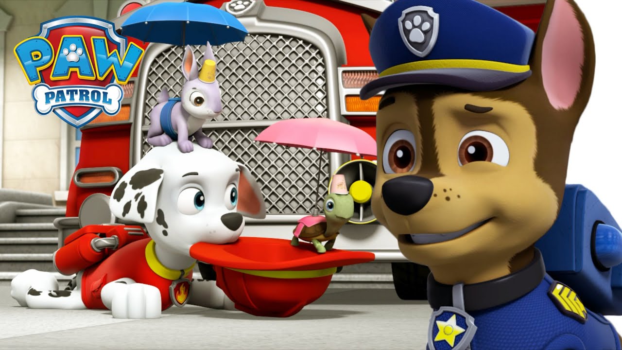Štěňata zachraňují Mini patrolu a nástěnnou křídovou malbu! - Tlapková Patrola PAW Patrol pohádky