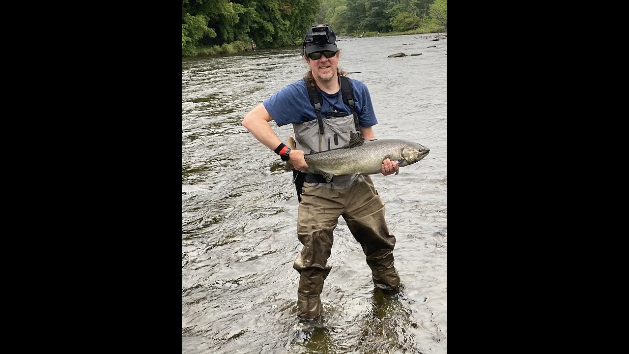 Fly Fishing for Salmon on the Salmon River in Pulaski NY - Day 1