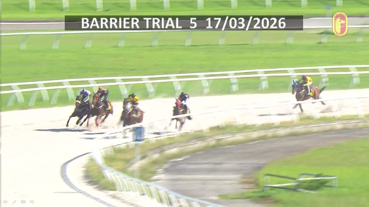 17 MAR 2026 BARRIER TRIAL 5