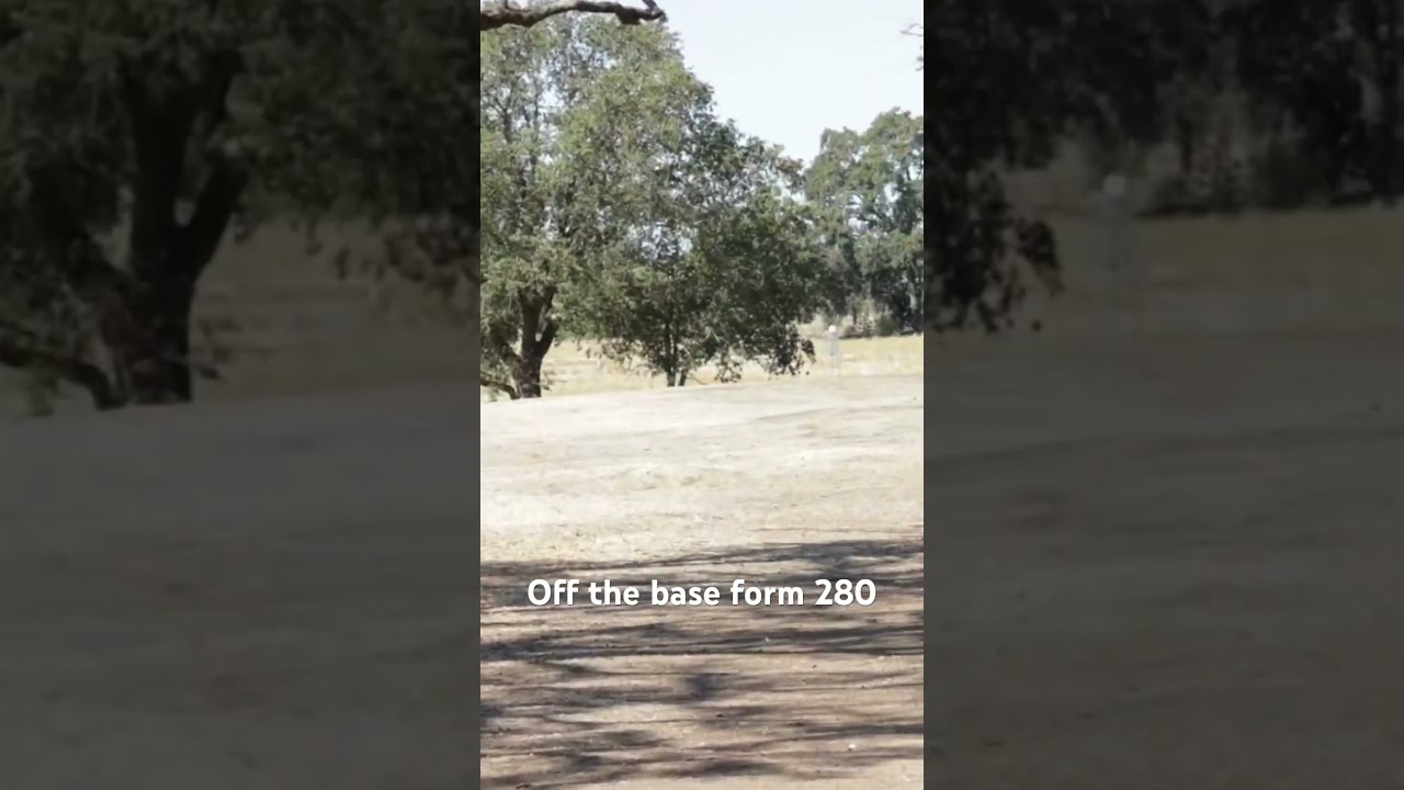 Close to an ace from 280 #discgolf #flyingdisc #discgolfeveryday