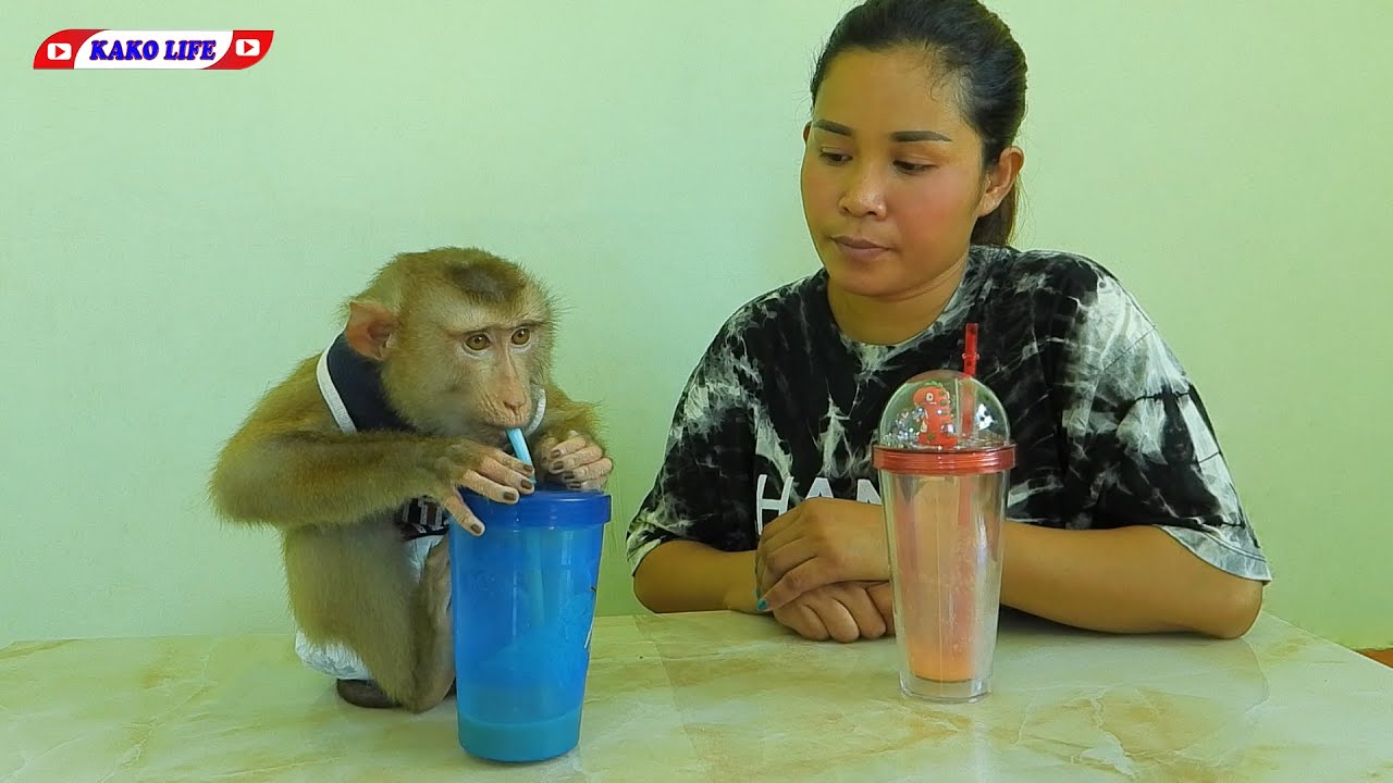 Smart Little Kako Drinking Fruit Smoothie