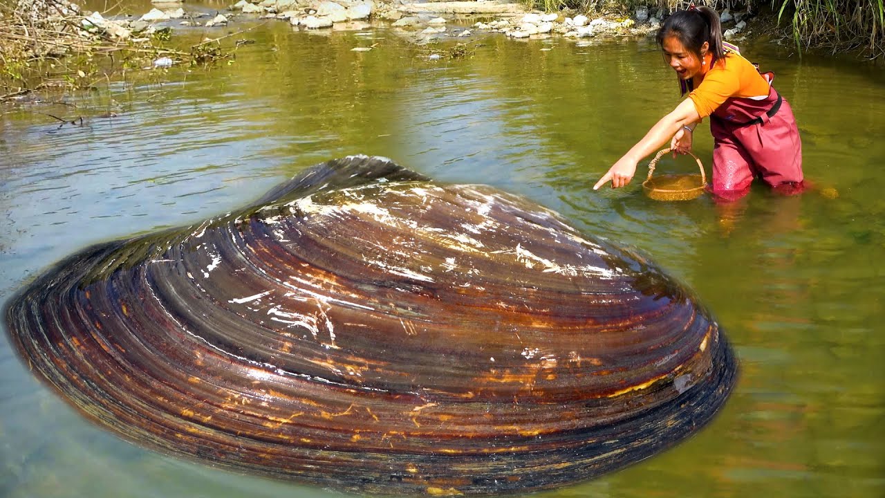 I've finished digging out the pearls of this river clam. That's enough now