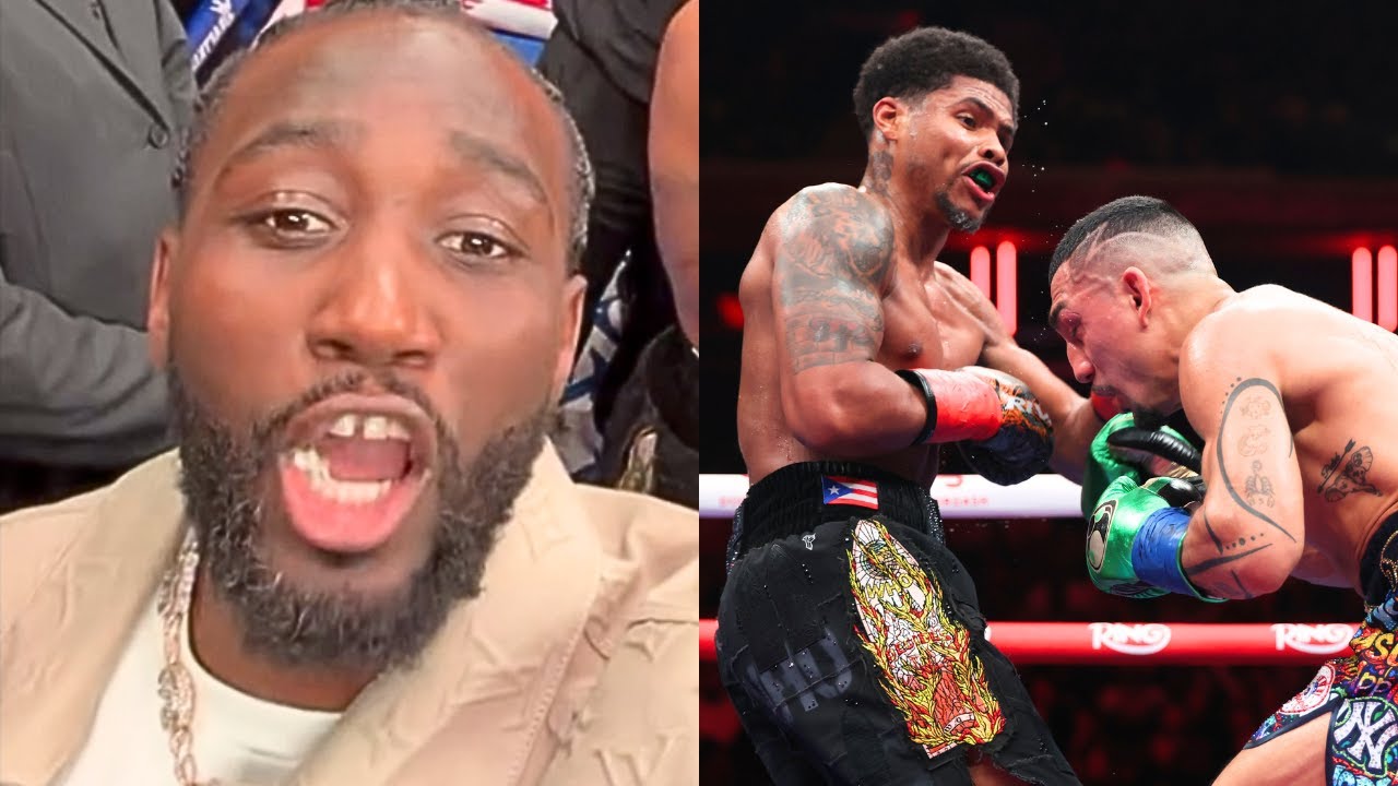 Fighters REACT to Shakur Stevenson MASTERCLASS win over Teofimo!