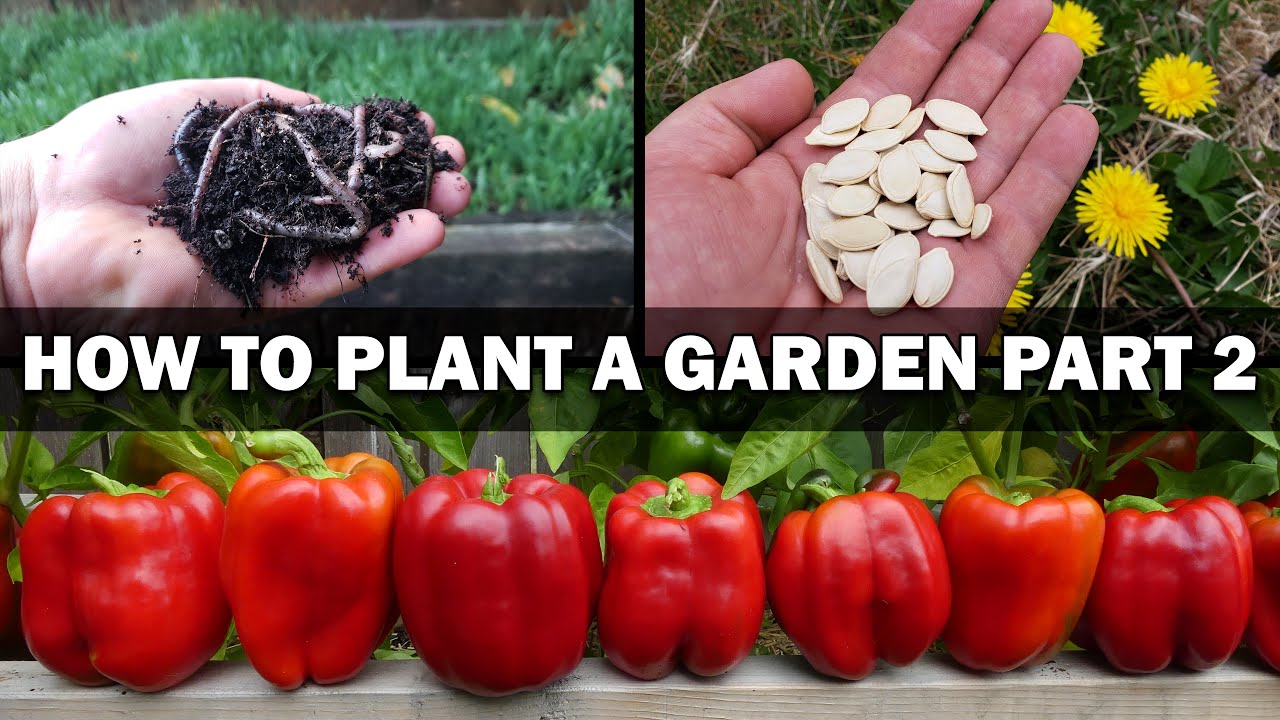 Growing Your First Garden - Episode 2 of 4