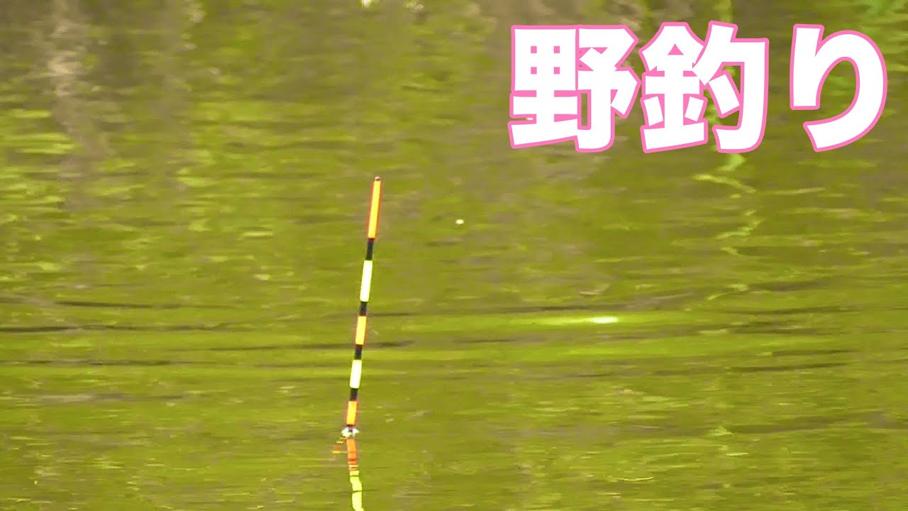 新木水路