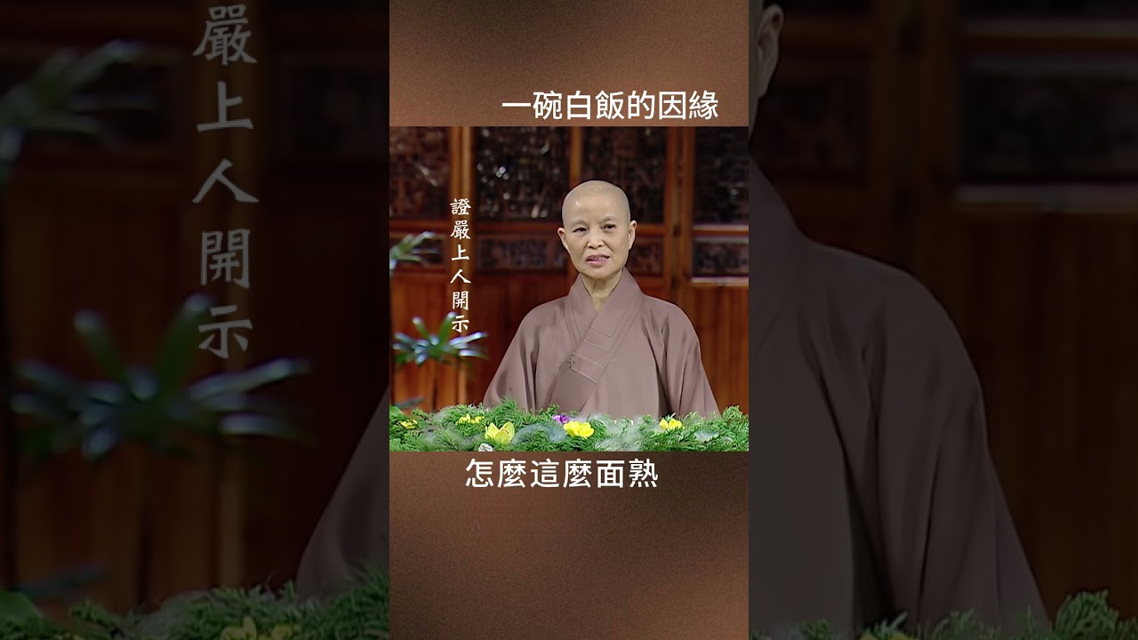一碗白飯的善意｜法譬如水 #證嚴上人