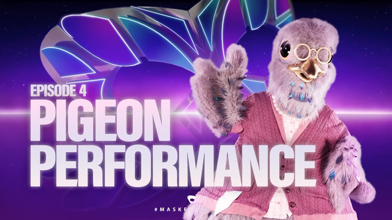 Pigeon Performs 