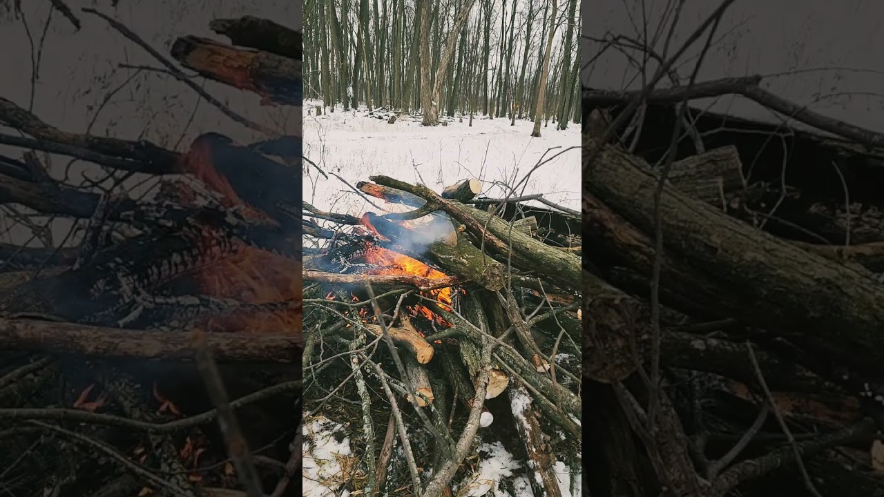 Winter Bonfire In The Woods