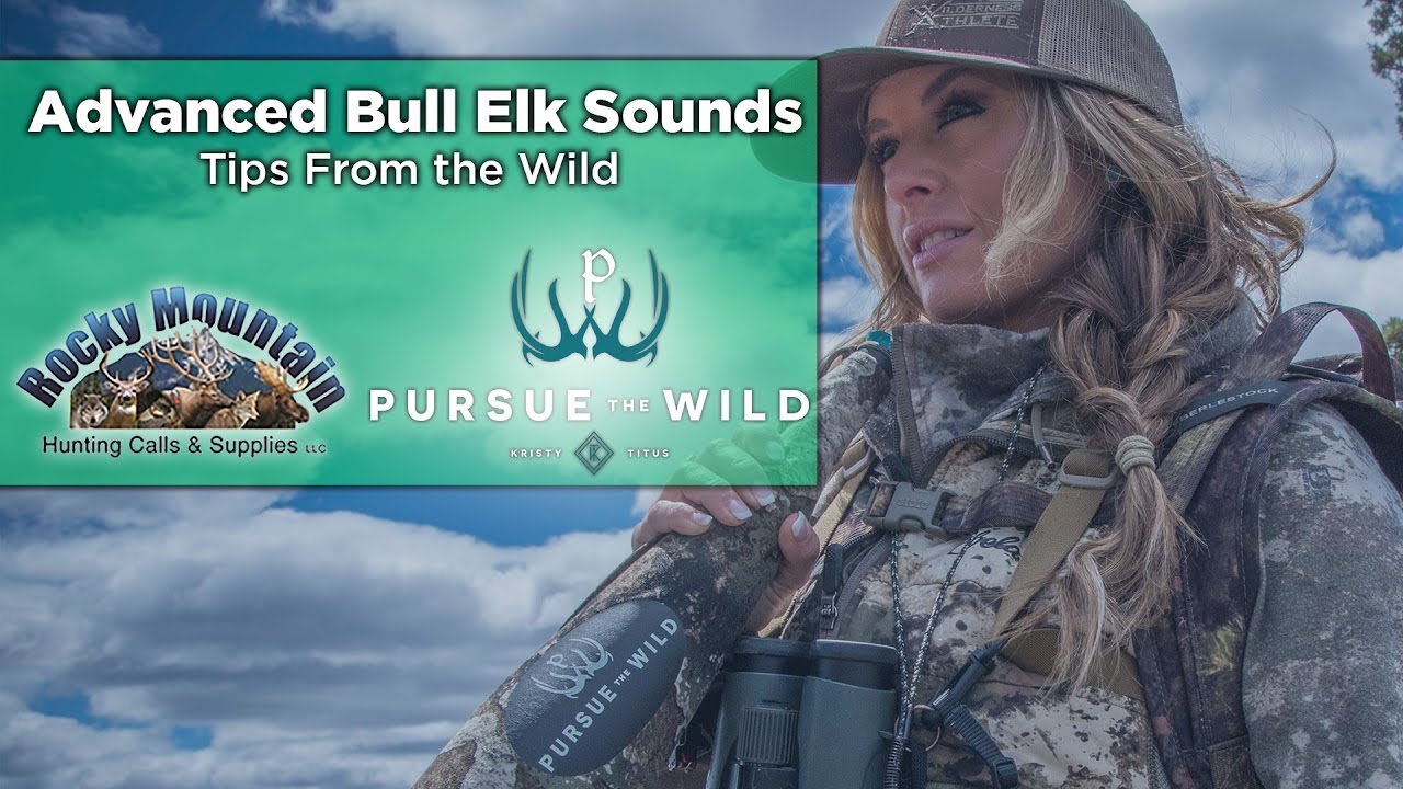 How To Master Elk Bugles with Kristy Titus- Elk Call Tips