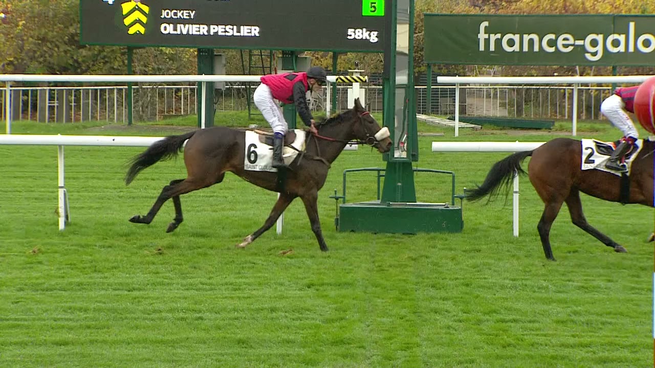 [COURSE &Eacute;COLE] Prix IJockey - Hippodrome de Saint-Cloud - 16 novembre 2021 - GALOP