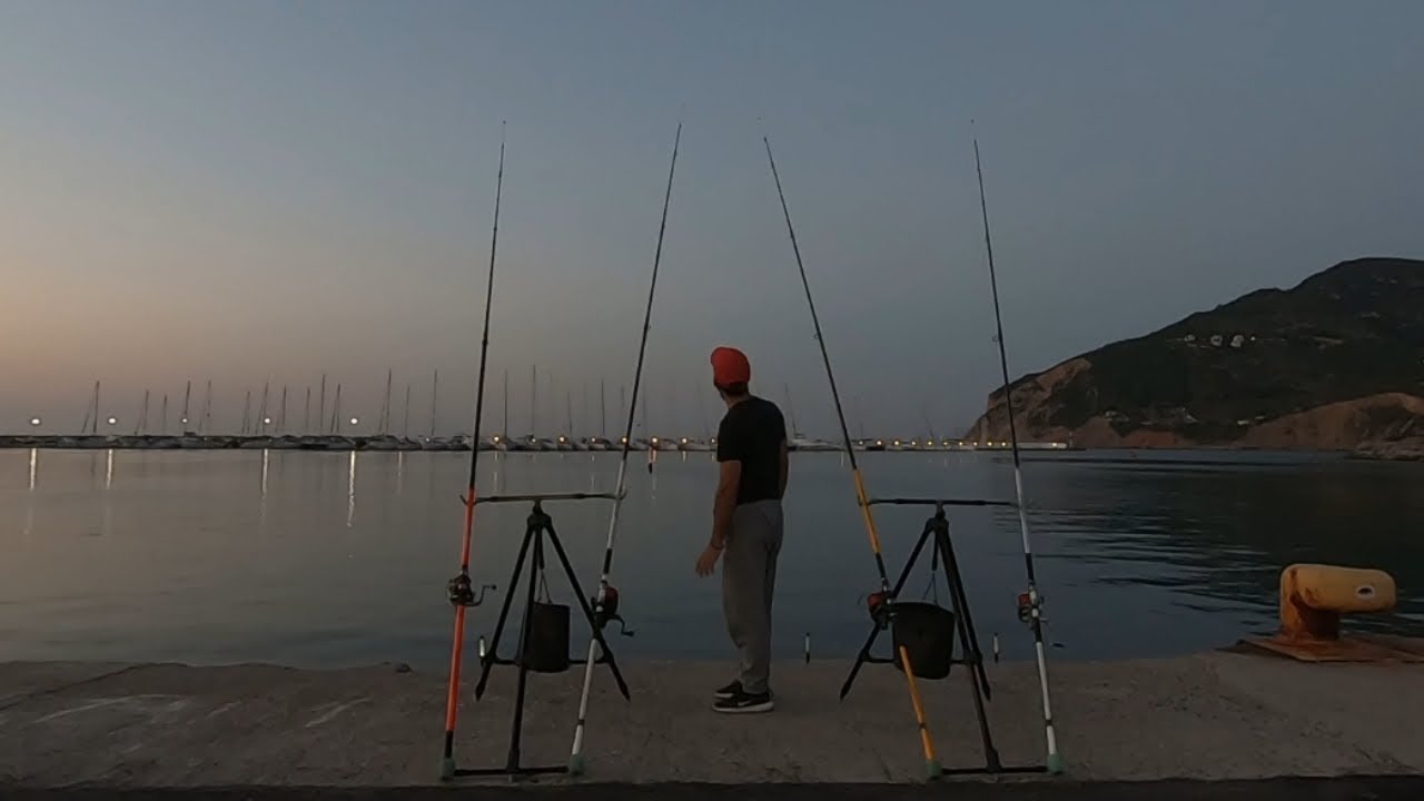 Μερικά από τα ψάρια των διακοπών...