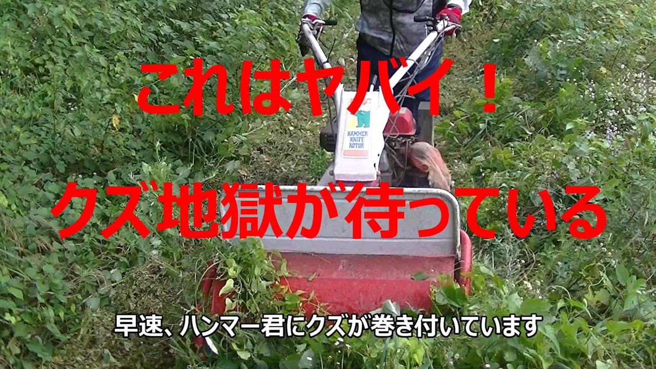 クズ地獄にジャングル！大丈夫かハンマー君！！
