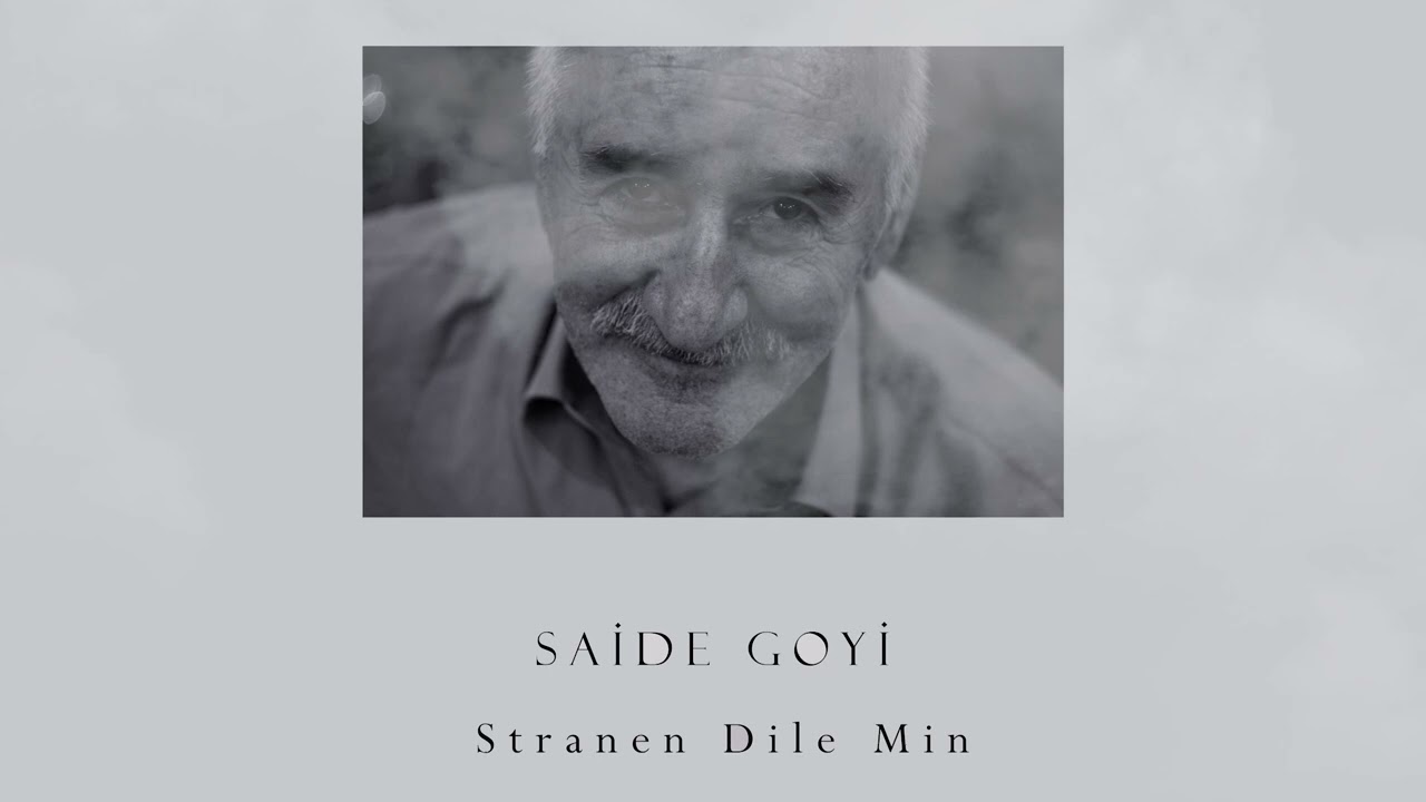 Seîdê Goyî  / Em Nadin