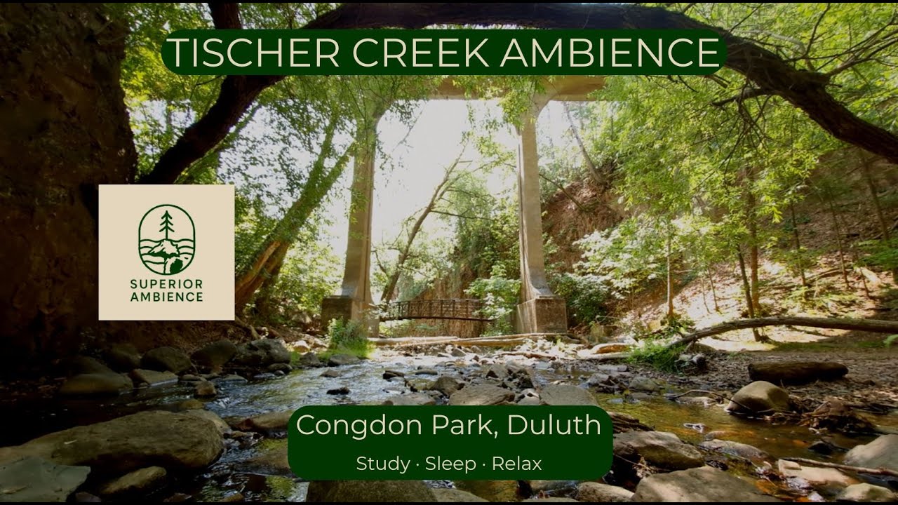 Tischer Creek in Congdon Park – Relaxing Stream Sounds | Duluth, Minnesota
