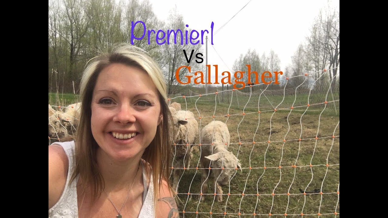 Premier 1 Electronet vs Gallagher Electronet