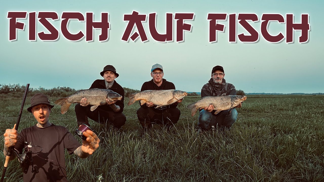 Dicke Karpfen und voller Erfolg an der Hunte.