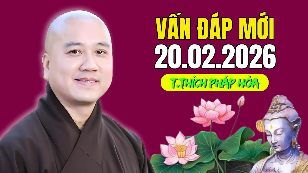 🪷 Vấn Đáp Phật Pháp Mỗi Ngày 20.02.2026 | Thầy Thích Pháp Hoà Giảng