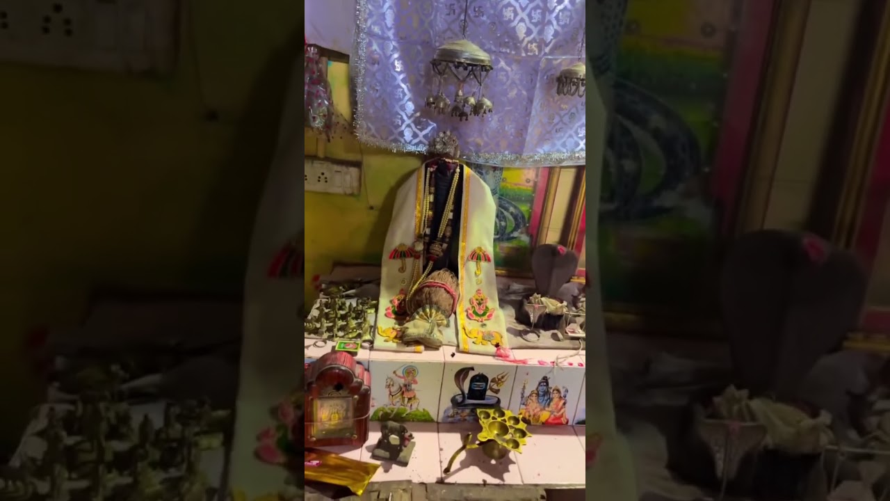 આધાર મારા લેબડા વાળા ગોગા બાપા નો 🌍💝