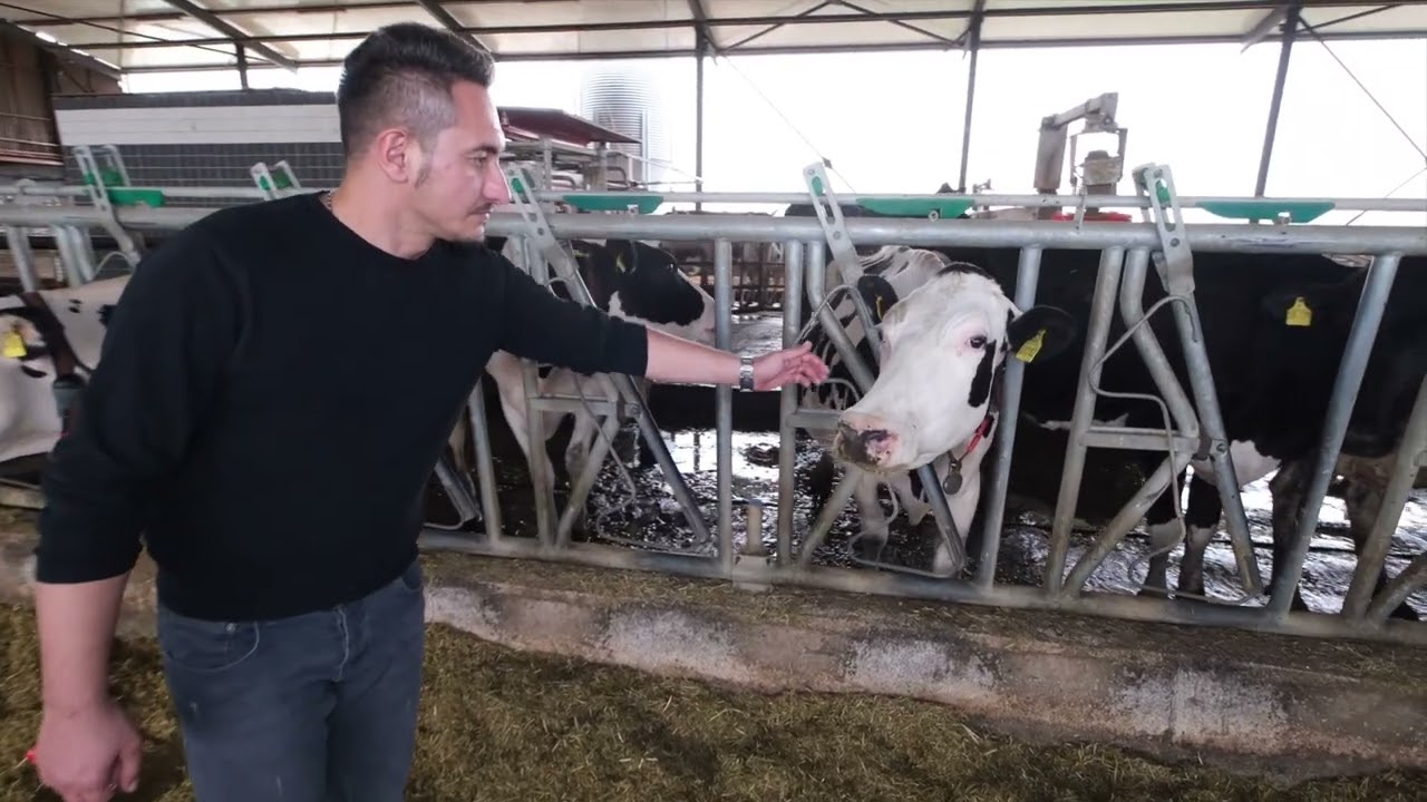 Müşteri Deneyim Videosu - Lely Astronaut A5 / Arasbey Çiftliği | Lüleburgaz