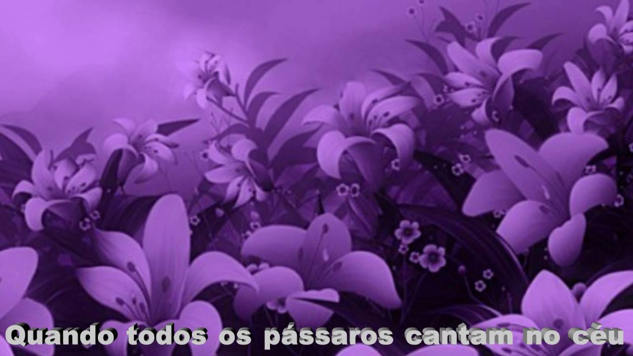 Season in the sun - Westlife – Tradução - Janisvaldo -