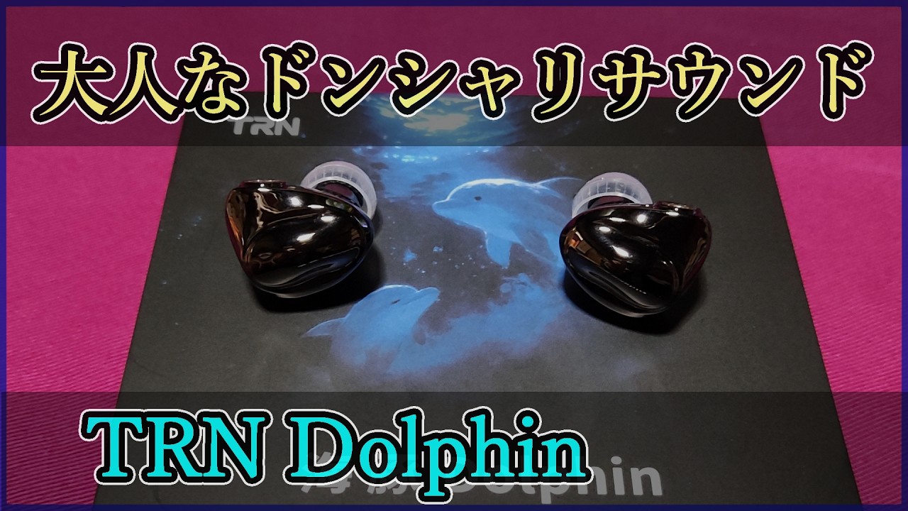 【TRN Dolphin】本日発売！！初心者にもオススメ！！3000円で買える大人のドンシャリイヤホンをレビュー【中華イヤホン】