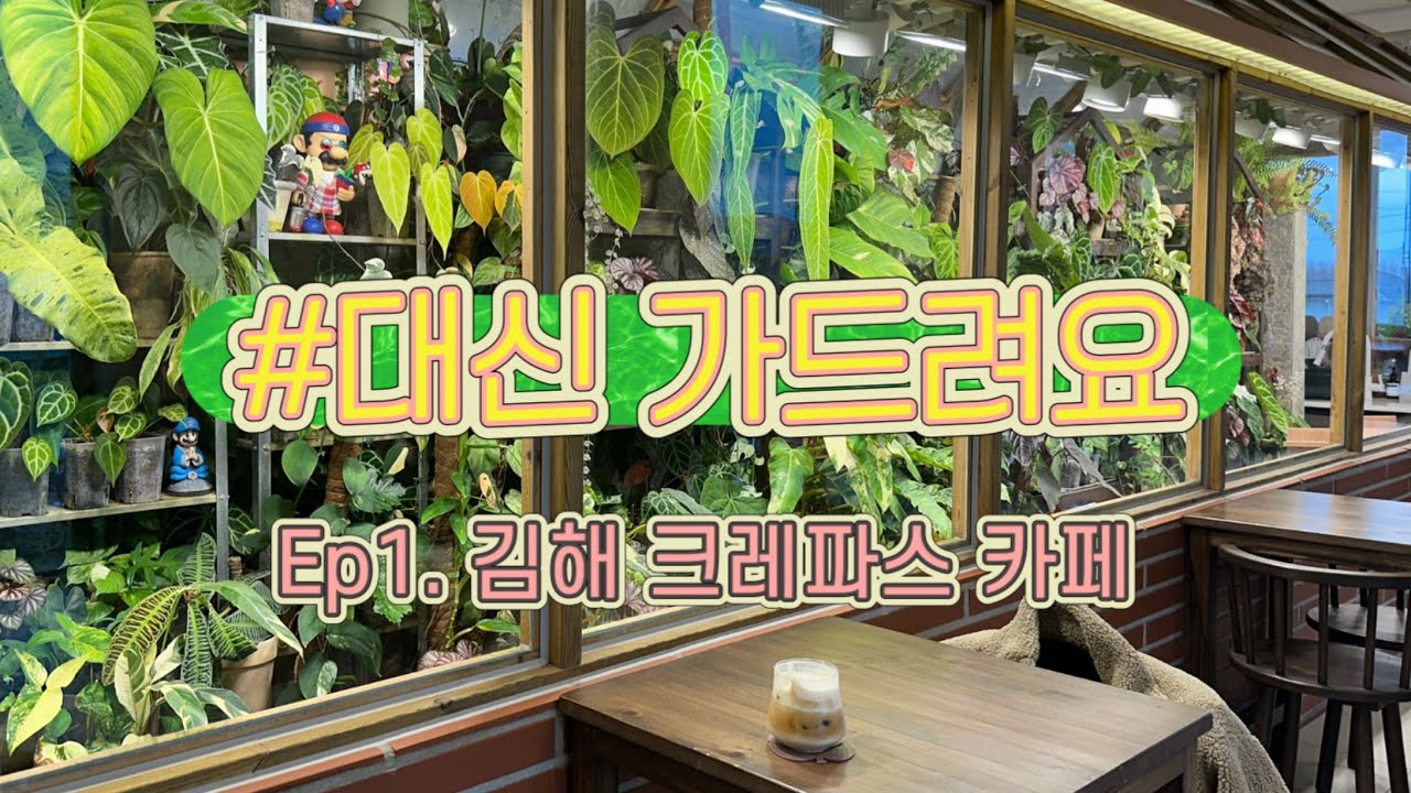[식물vlog] 🗣️ 대신 가드려요 ep1. 김해 희귀식물카페 크레파스 | 영상 감독님이 운영하시는 대형 식물카페🌳🎬