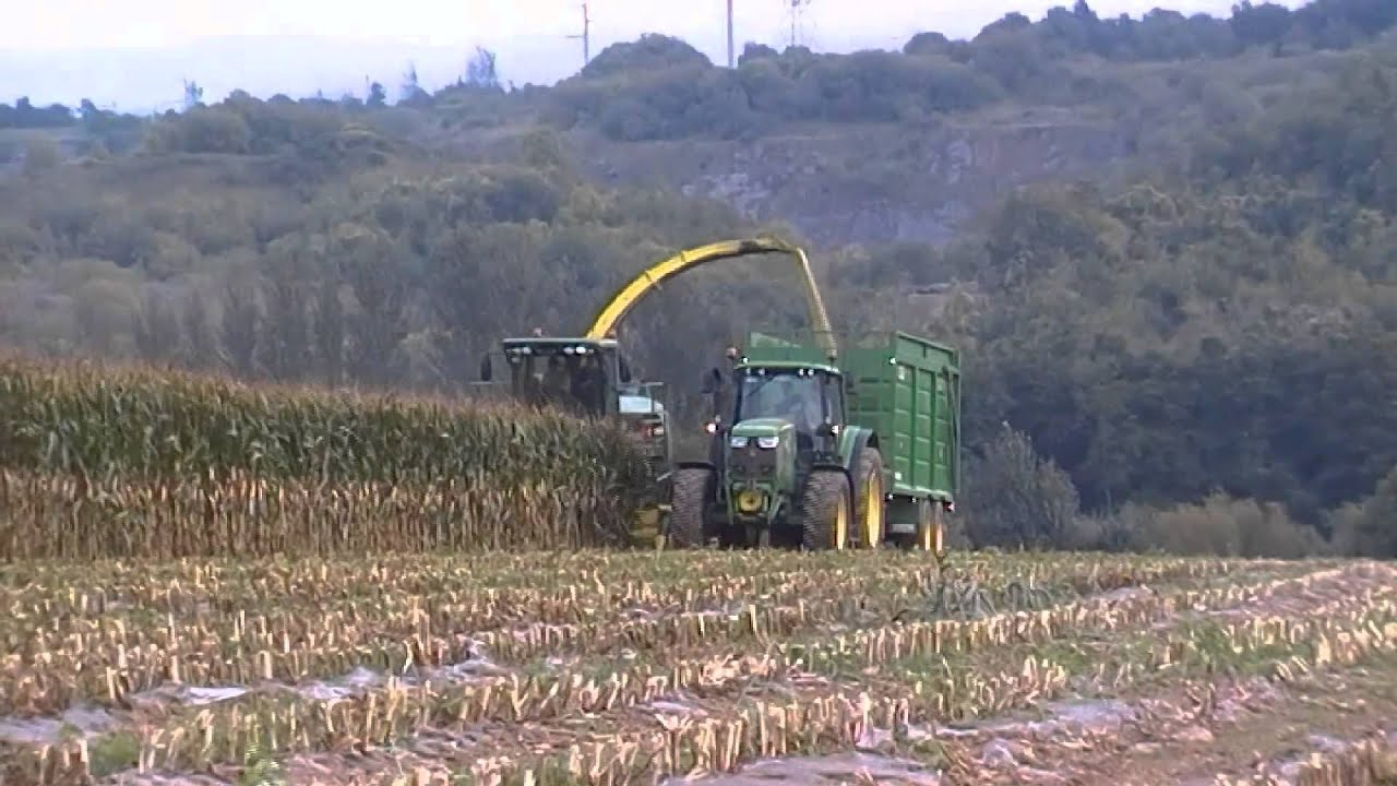 Lloyd Forbes Maize 2014 Co.Cork