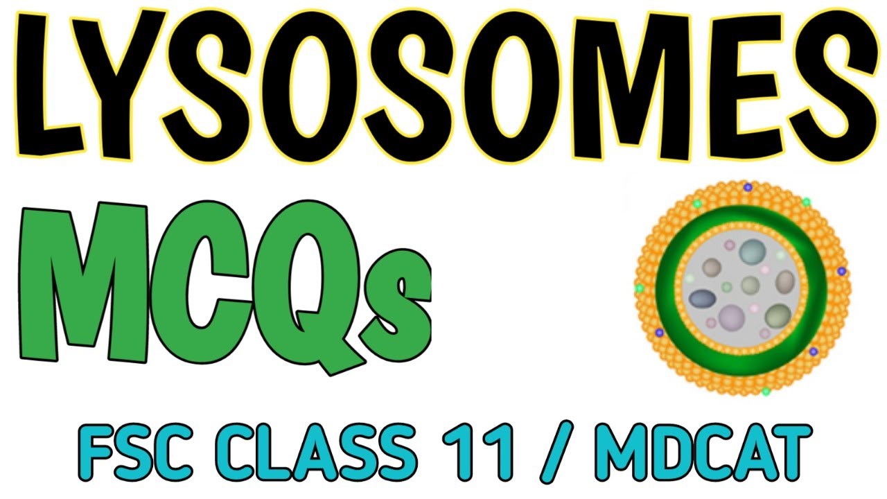 LYSOSOMES BIOLOGY MCQS | FSC 1ST YEAR/MDCAT IMPORTANT QUESTIONS