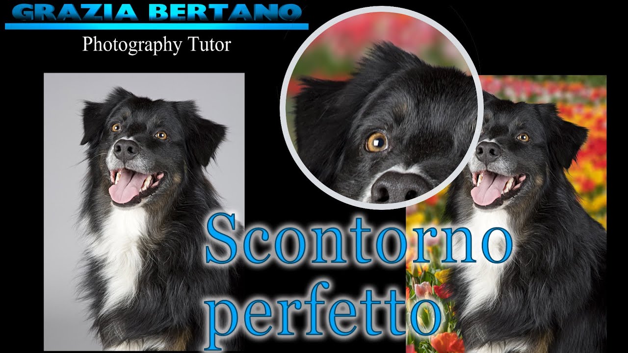 Scontorno perfetto dei peli (capelli) e sostituzione sfondo