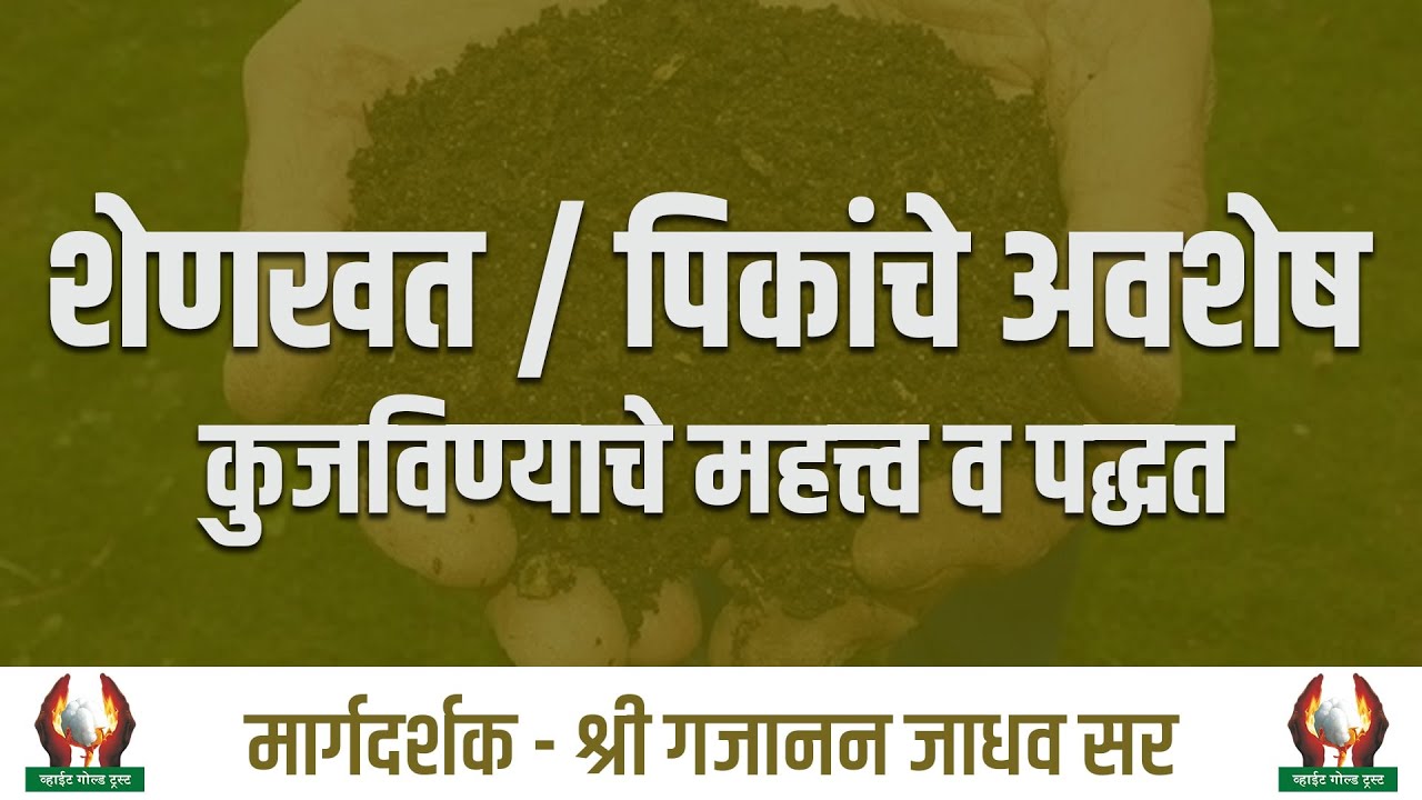 शेणखत /पिकांचे अवशेष कुजविण्याचे महत्त्व व पद्धत । श्री गजानन जाधव सर