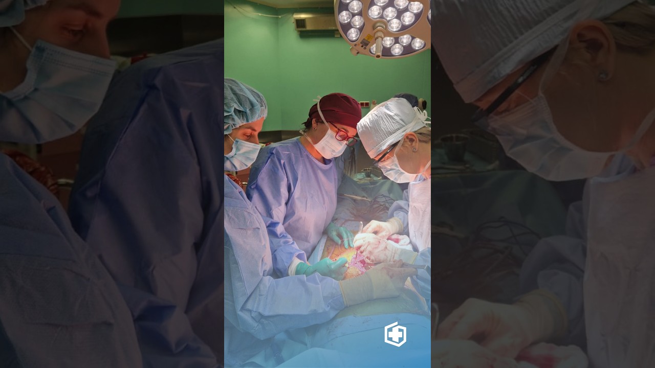 Pacjent ze Szczecina, narządy z Wrocławia, a przeszczep &ndash; w PIM MSWiA