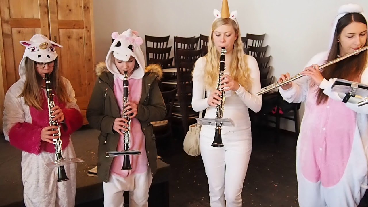 Weitersfelden_Riepl_Gemeinde- und Videochronik_ Fasching 2018 Einhornmusikkapelle