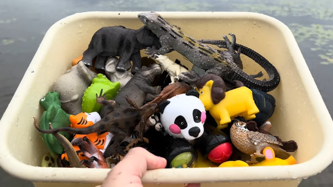 Wild Zoo Animal Toys in a Box | Outdoor Learning Fun