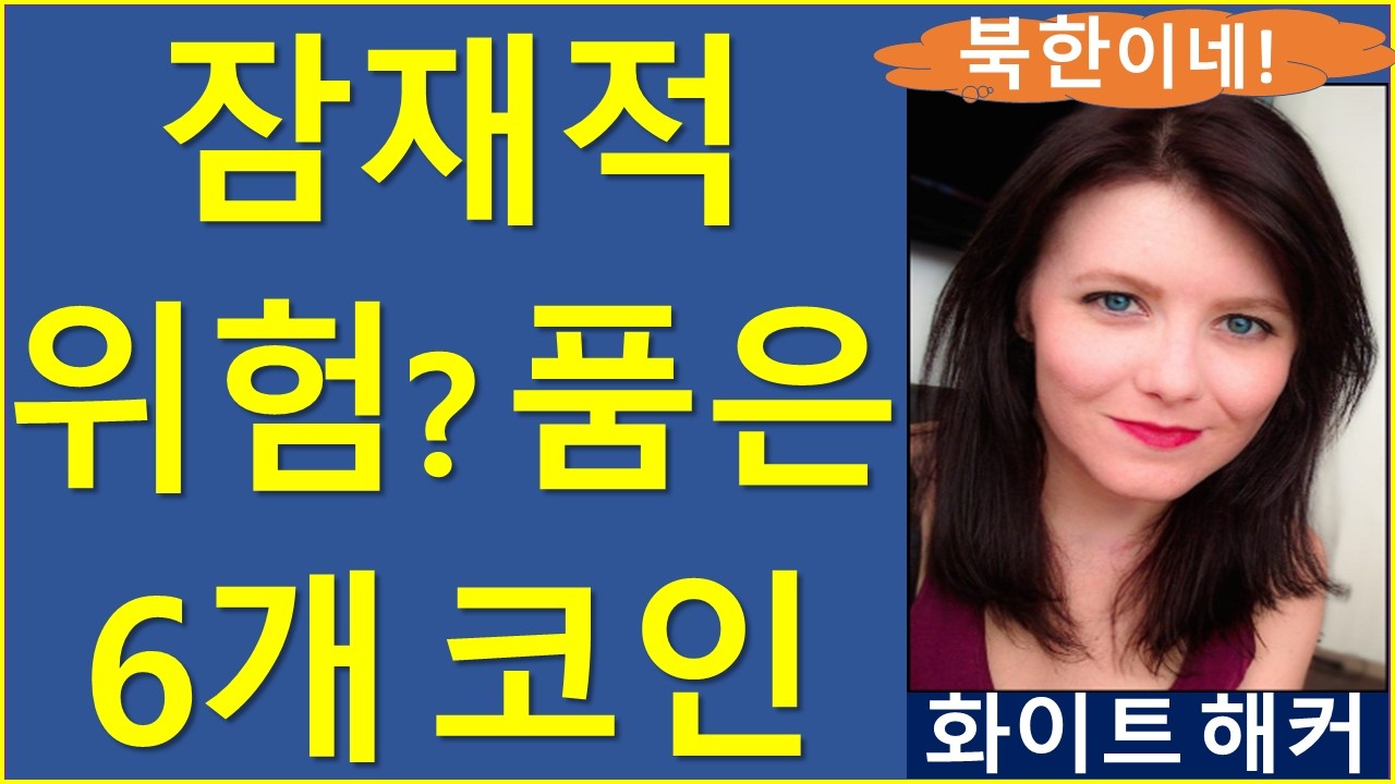 도지와 시바이누의 결정적인 차이는? 시바이누 비트코인 이더리움 리플 솔라나 라자루스 해커 토르체인 디파이코인