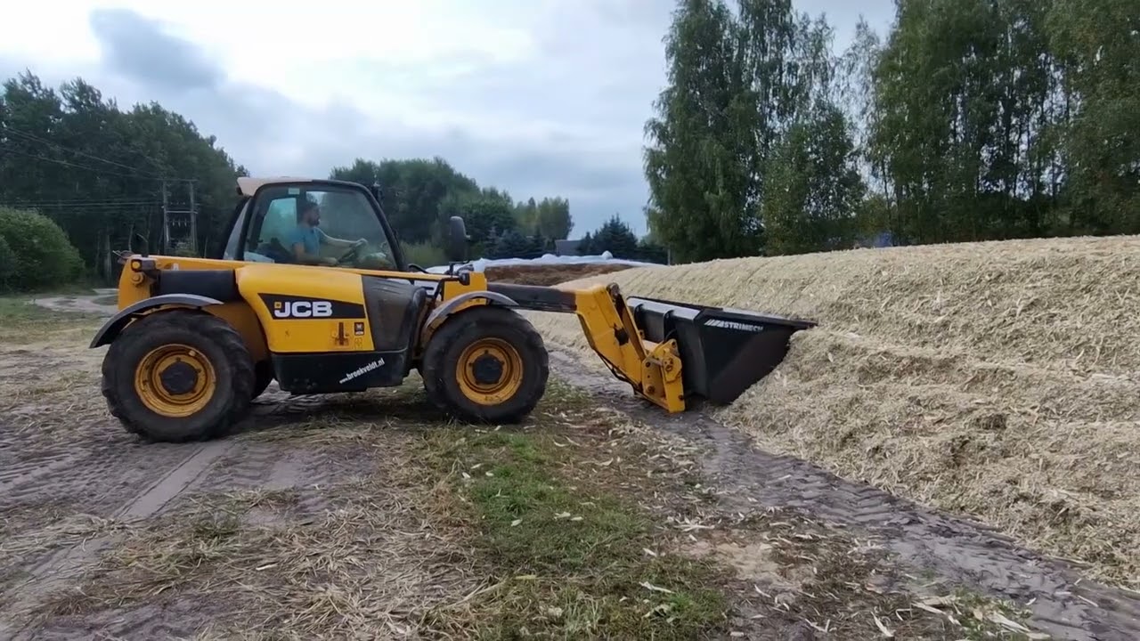 Kukurydza 2023.#cornsilage #oporowo  #fendt #mengele