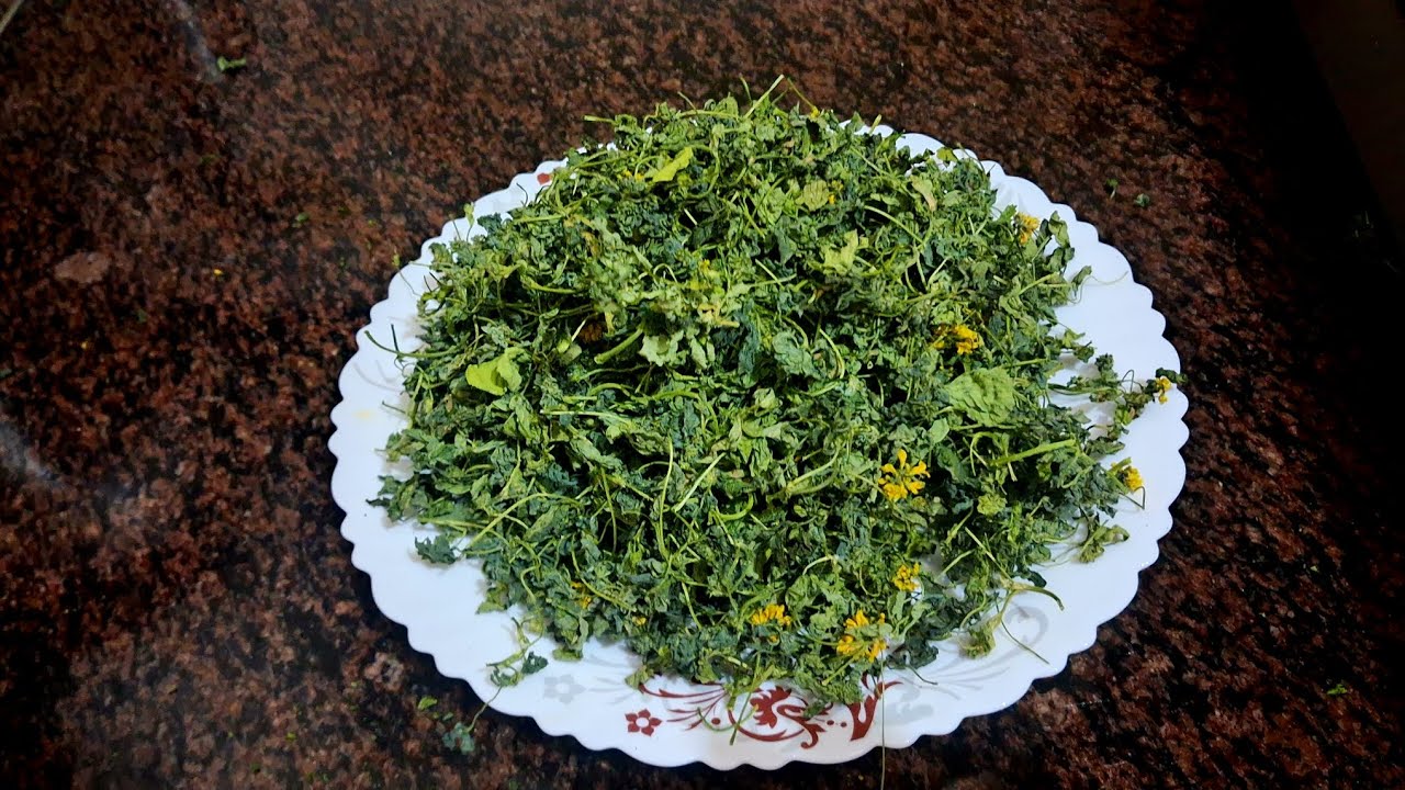 बिना धूप,बिना माइक्रोवेव के हरी कसूरी मेथी, Bajaar Jaise Khushbu wali Methi store Karen
