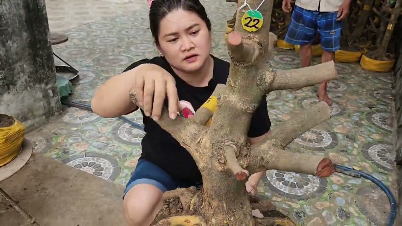 Mùng 4 Tết chị Diểm 0787905052 phôi mai giảo đẹp hoành to giá nhỏ