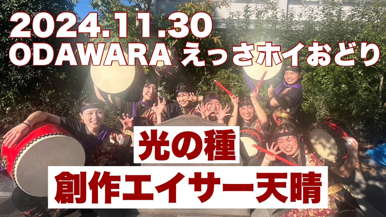創作エイサー天晴「光の種」（2024.11.30 小田原えっさホイおどり）