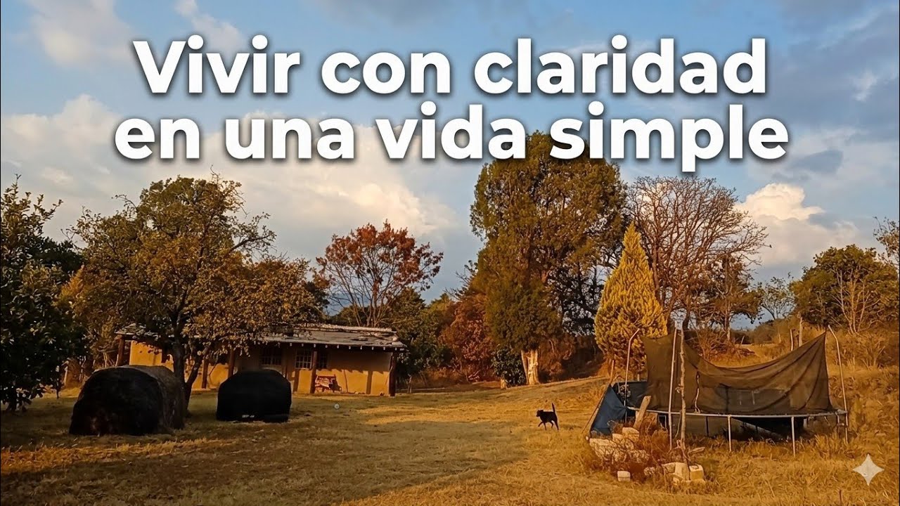 Cuando Cambias Tu Reacción, Cambia Tu Vida | Reflexión Profunda.  #ReflexiónProfunda