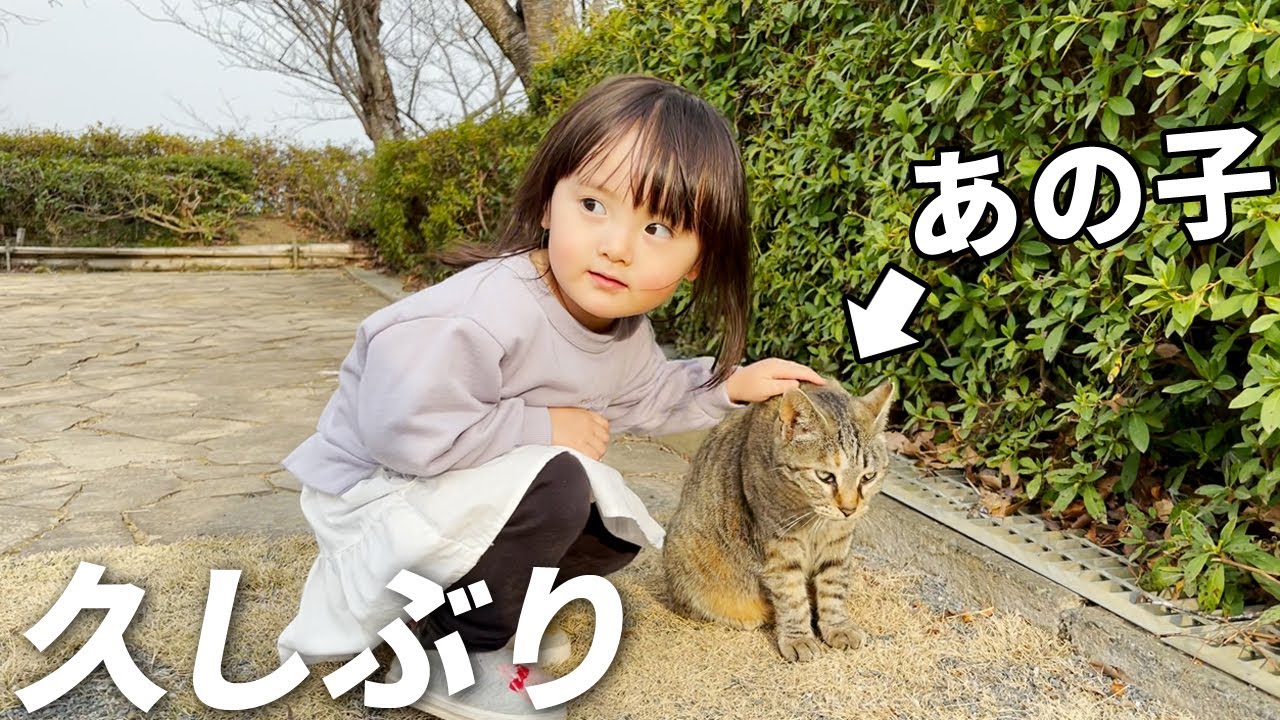 久しぶりにあの子に会えました