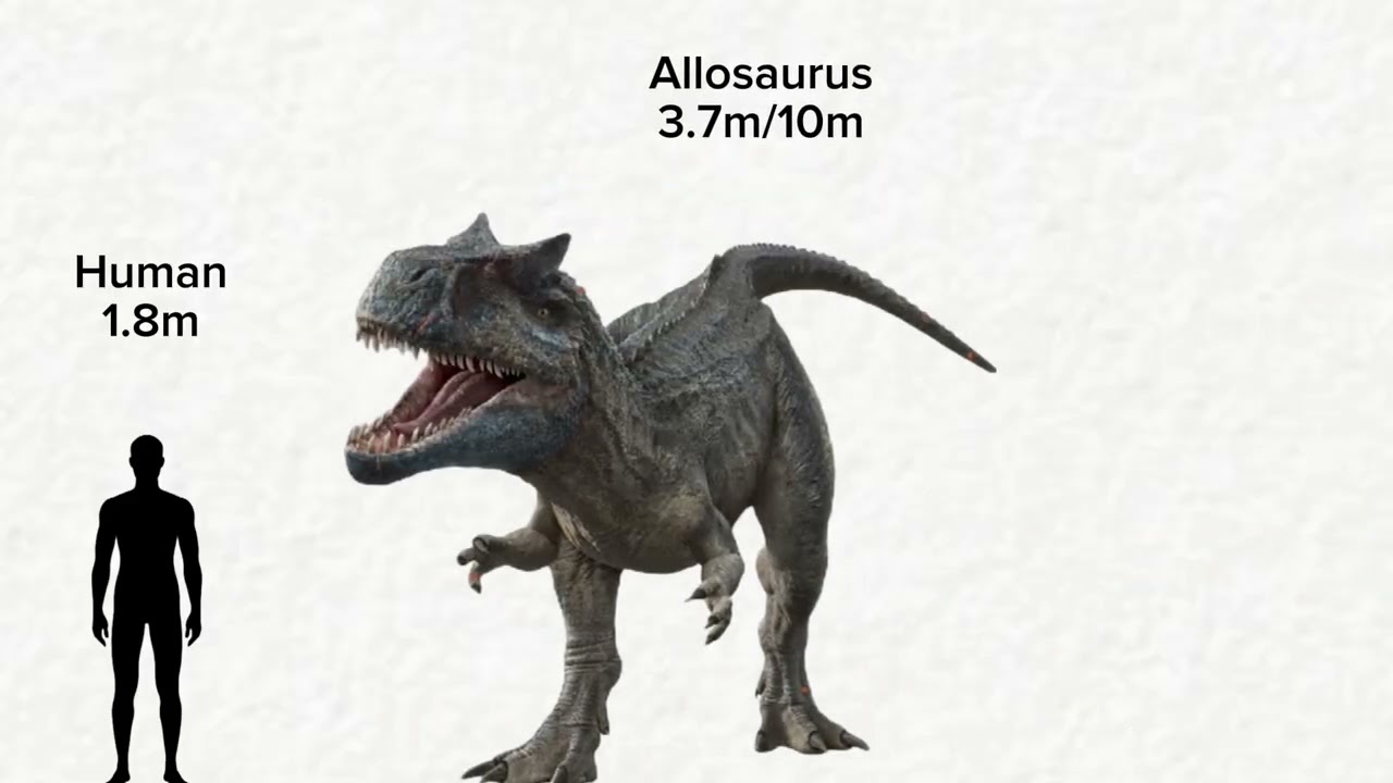 JURASSIC WORLD/JURASSIC PARK DINOSAUR/REPTILES SIZE COMPARISON