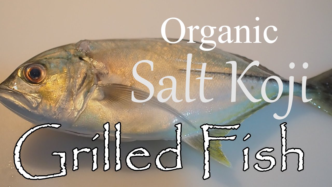 ORGANIC SALT KOJI GRILLED FISH