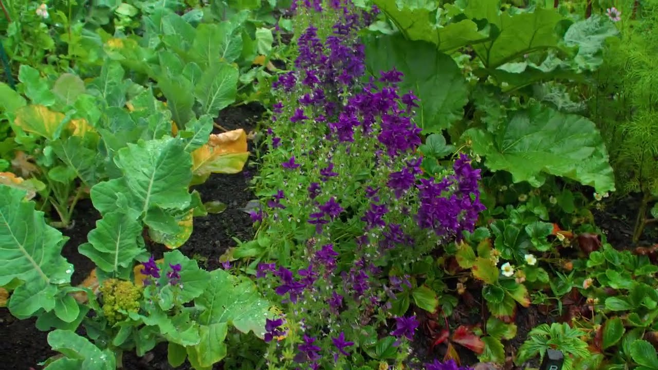 Dunvegan Castle and Gardens. Scotland, UK Ep33.