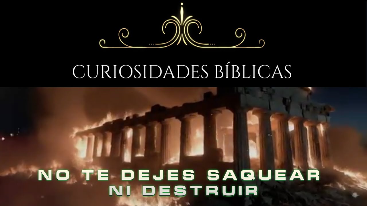 NO TE DEJES SAQUEAR NI DESTRUIR