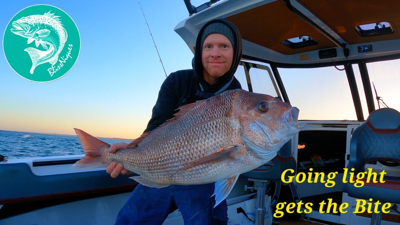 Inshore Fishing for Snapper, Going light got the bite. Ep.90