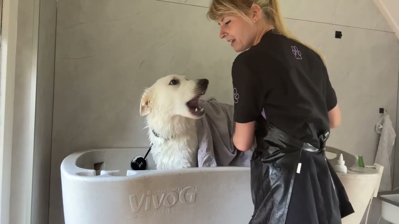 Make-Over time for Swiss Shepherd Zoë