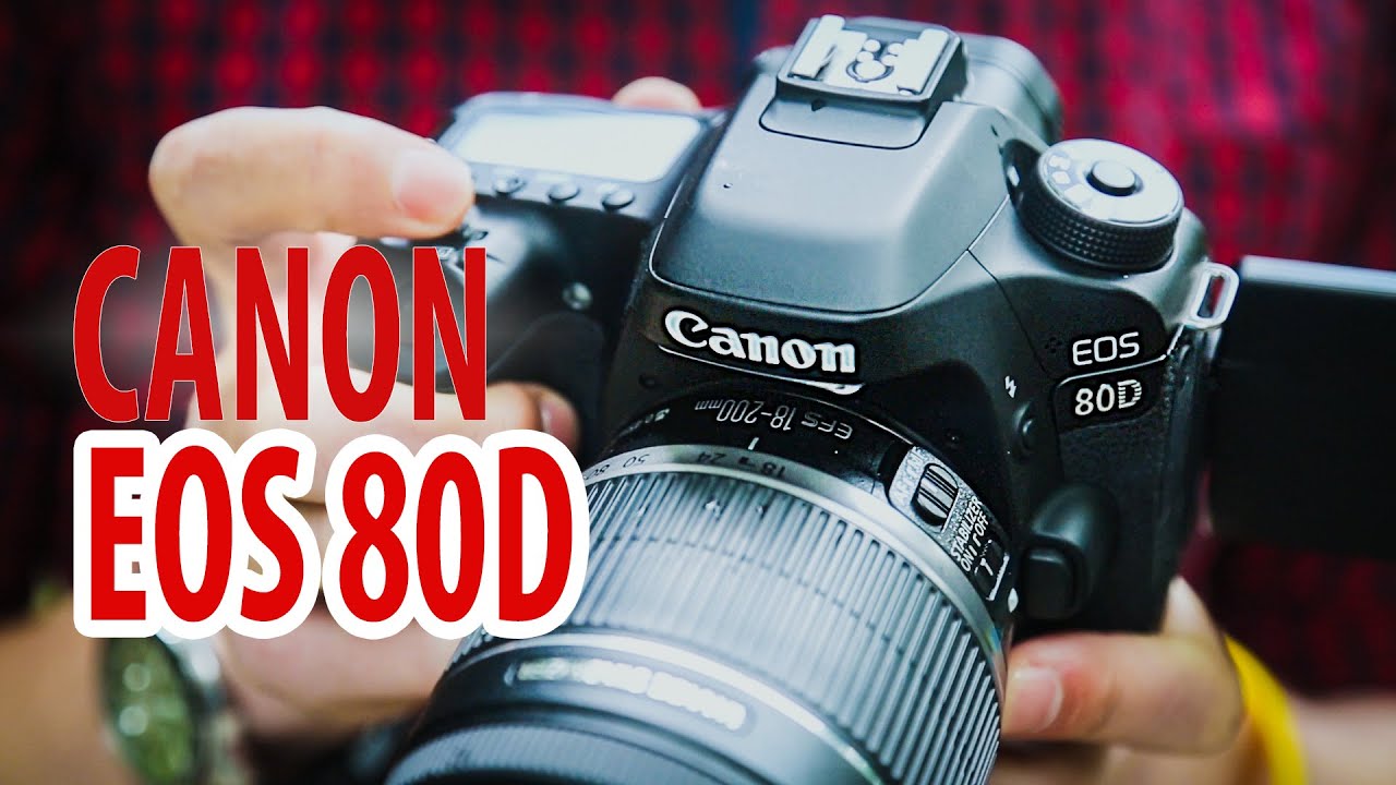 Обзор фотоаппарата Canon EOS 80D