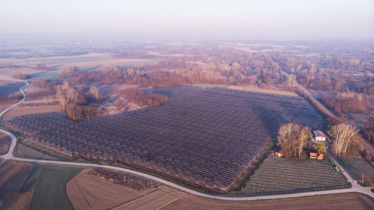 Anti-frost sprinkling - Protect apple blossoms from freeze | Aerial