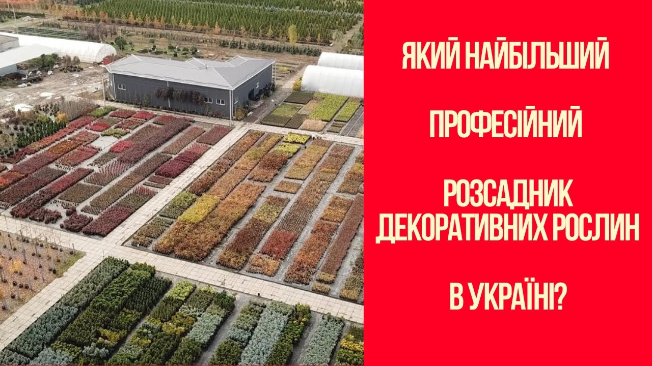 Найбільший розсадник декоративних рослин Гарди - коли працюють професіонали/Доставка рослин