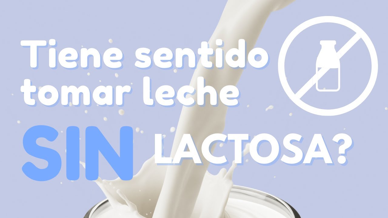 ¿QUÉ ES REALMENTE LA LECHE SIN LACTOSA?🥛 🍼| DESMINTIENDO MITOS🤔